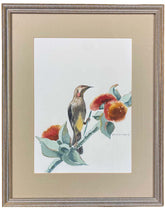 Neville Australian Floral Series of 3